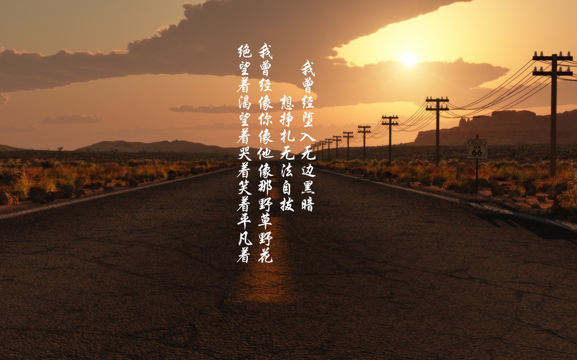 新西兰女子橄榄球引发全球关注，未来成发展重点，新西兰女子篮球队