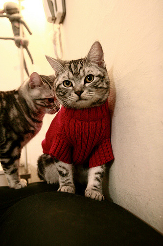 皇马提前出线欧冠淘汰赛,皇马提前出线欧冠淘汰赛了吗